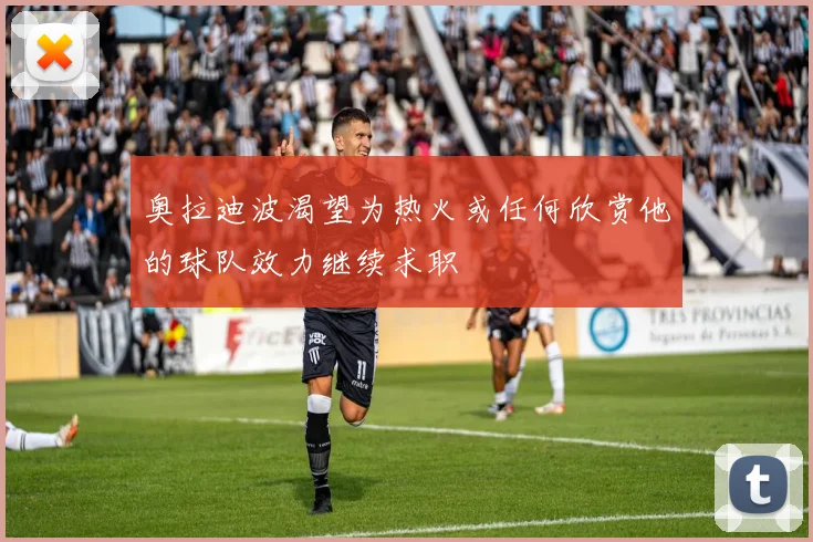 奥拉迪波渴望为热火或任何欣赏他的球队效力继续求职
