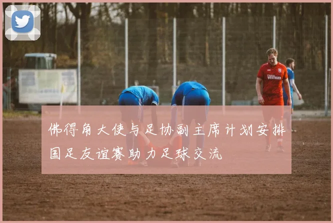 佛得角大使与足协副主席计划安排国足友谊赛助力足球交流